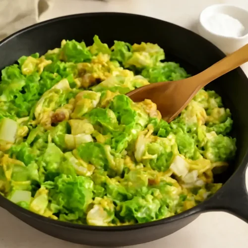 Savoy Cabbage Recipes